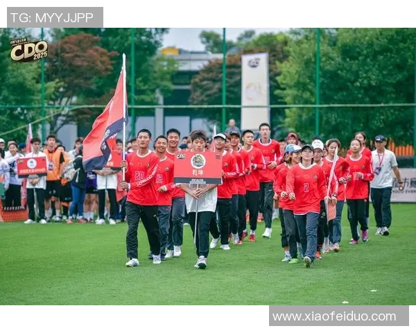 南京飞盘队的奋斗与荣耀：极限运动会背后的故事与成就分享